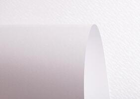 White paper texture with a pearlescent shimmer and soft curved patterns. The luminous, refined photo