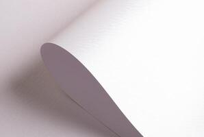 White paper texture with a pearlescent finish and looping wavy patterns. The smooth, delicate photo