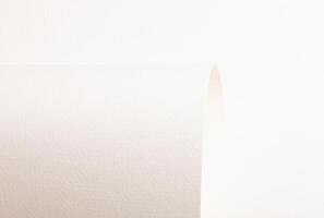 Ivory paper background with a smooth matte texture and subtle embossed grain. Soft cream tones add photo