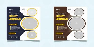 Study Abroad Social Media Post design template vector