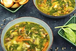 Vegetarian soup with croutons. photo