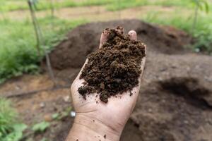 A hand is holding a pile of soil with a pile of dirt and a pile of soil photo
