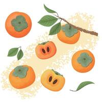 Detailed Persimmon Illustrations Featuring Whole and Sliced Fruit with Leaves and Artistic Design vector