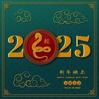 Happy Chinese new year 2025,Snake zodiac sign on green color background,Chinese translate mean Happy new year 2025,Year of the snake vector