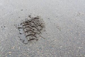 An Imprint of a Tire Track on a Wet Asphalt Surface Captured in a Photographic Scene photo