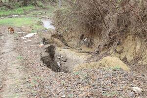Erosion and Soil Disturbance Within the Natural Landscape Affects Local Ecosystems Mightily photo