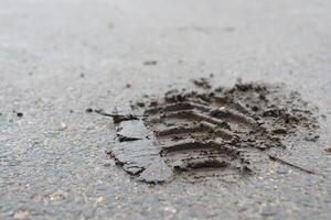 A Shoe Print Imprinted in Wet Mud on the Pavement Surface, Capturing a Moment of Discovery photo