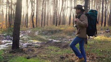A man with a camera walks along a trail in the forest. Travel concept. Slow motion video
