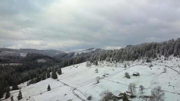 Flight over the winter landscape in the Carpathian mountains. 4K video