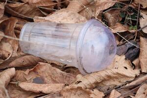 A Plastic Cup Has Been Discarded and Left Behind Among Fallen Leaves in Natures Beauty photo