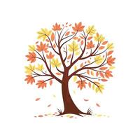 Autumn tree illustratuion vector