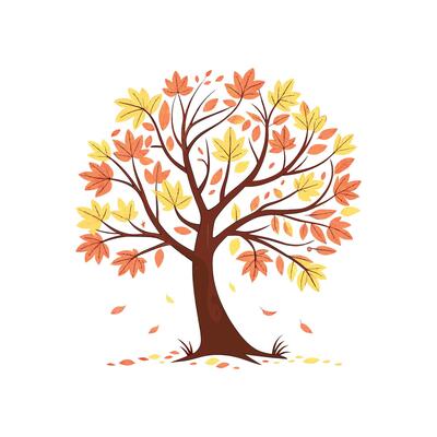 Autumn tree illustratuion