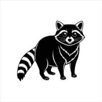 Raccoon Standing Images vector