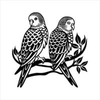 Two Budgie Parrot Sitting vector