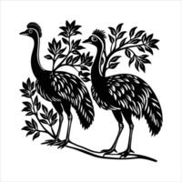 Emu On Tree Branch Vectors