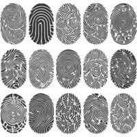 Fingerprint pattern set illustration vector