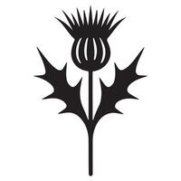 Elegant Thistle Silhouette Botanical Illustration vector