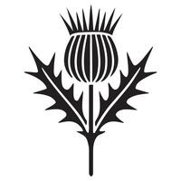 Scottish Thistle Silhouette Botanical Illustration vector