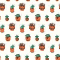 Seamless pattern of succulents plant in pot in hand drawn style vector