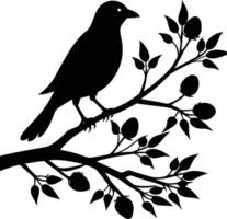 Bird on branch silhouette vector