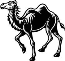 A camel in black and white on a white background vector