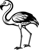Flamingo coloring pages free printable flamingo coloring pages vector