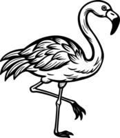 Flamingo coloring pages free printable coloring pages vector