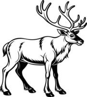 Deer standing on a white background vector