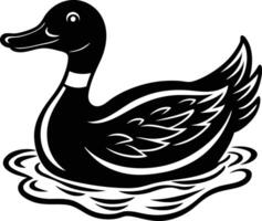 A black and white duck swimming in the water vector