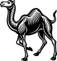 A camel in black and white on a white background vector