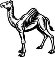 A camel is standing in a black and white drawing vector
