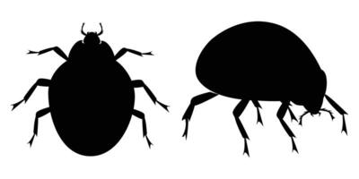 Silhouette of Ladybugs on Leaves and Branches vector
