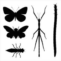 Silhouettes of Different Types of Insects on Leaves and Flowers vector