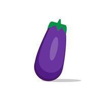 an eggplant is shown on a white background vector