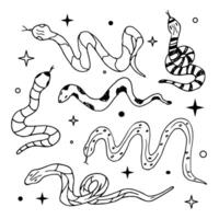 A set of hand-drawn snakes, silhouettes covered with ethnic patterns. Collection of wild snakes. Collection for tattoos, prints, postcards, design elements. vector