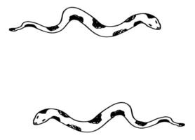 Snakes forming a rectangular frame, for postcards, invitations, web pages. A hand-drawn illustration for a social media design template. vector
