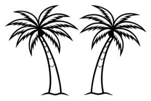 Palm trees coloring pages vector