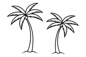 Palm trees coloring pages vector
