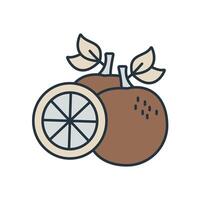 Grapefruit icons symbol elements for infographic web vector