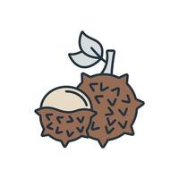 lychee icons symbol elements for infographic web vector