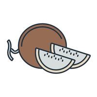 cantaloupe icons symbol elements for infographic web vector