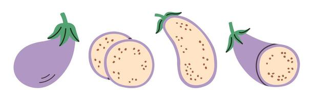 Flat style illustration of eggplant in various forms. whole, sliced rounds, halved, and cross-section. Simple and minimalist design for culinary, educational, or healthy lifestyle projects. vector