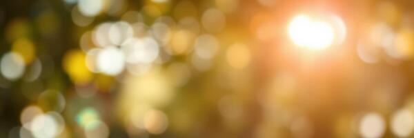 Soft golden sunlight filters through blurred foliage creating a serene atmosphere in nature during late afternoon photo