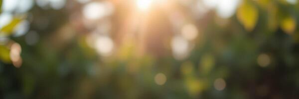 Soft sunlight filters through green leaves in a tranquil outdoor setting during early morning hours photo
