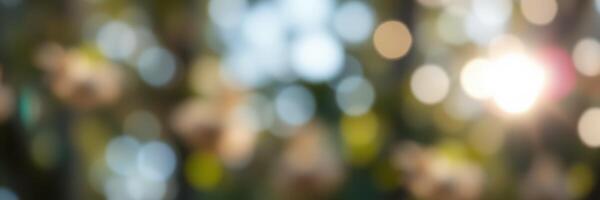 Soft sunlight filters through green foliage creating a dreamy atmosphere in a tranquil outdoor setting photo