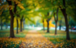 Pathway through a park surrounded by vibrant autumn leaves during a tranquil afternoon photo