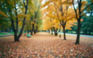 Fall foliage creates a colorful landscape in a tranquil park with scattered leaves and golden trees photo