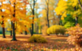 Vibrant autumn colors in a serene park filled with golden and orange foliage during a sunny afternoon photo
