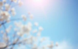 Blossoming flowers under a clear blue sky on a sunny day in spring photo