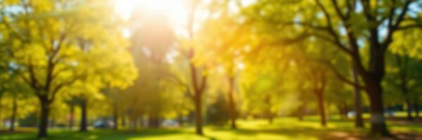 Warm sunlight filters through vibrant green trees in a peaceful park during a sunny afternoon photo